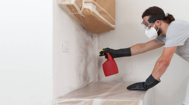 Professional Crawl Space Mold Remediation technician working in Akron, PA