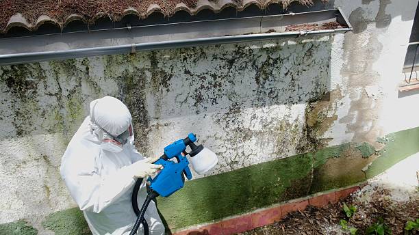 Top rated local Crawl Space Mold Remediation specialists in Akron, PA